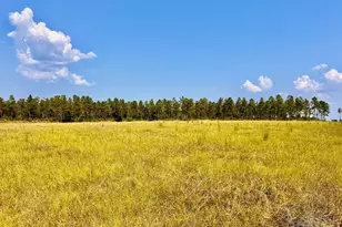 Lot 26 Morgans Branch, Molino, FL 32577 - Photo 1