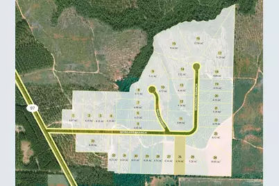 Lot 26 Morgans Branch, Molino, FL 32577 - Photo 4