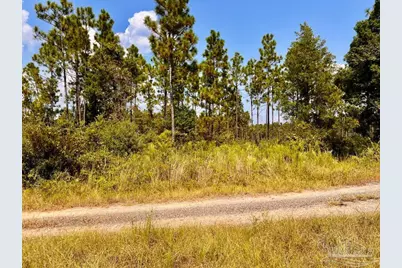Lot 26 Morgans Branch, Molino, FL 32577 - Photo 16