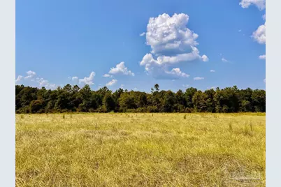 Lot 26 Morgans Branch, Molino, FL 32577 - Photo 2
