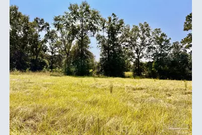 Lot 26 Morgans Branch, Molino, FL 32577 - Photo 10