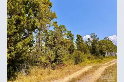 Lot 26 Morgans Branch, Molino, FL 32577 - Photo 18