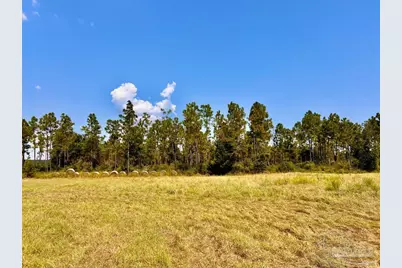 Lot 27 Morgans Branch, Molino, FL 32577 - Photo 10