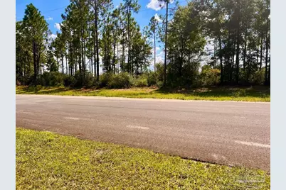 Lot 27 Morgans Branch, Molino, FL 32577 - Photo 12