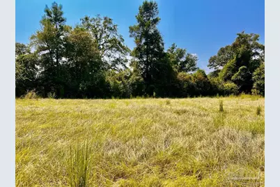 Lot 27 Morgans Branch, Molino, FL 32577 - Photo 6