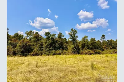 Lot 27 Morgans Branch, Molino, FL 32577 - Photo 2
