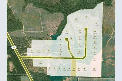 Lot 27 Morgans Branch, Molino, FL 32577 - Photo 4