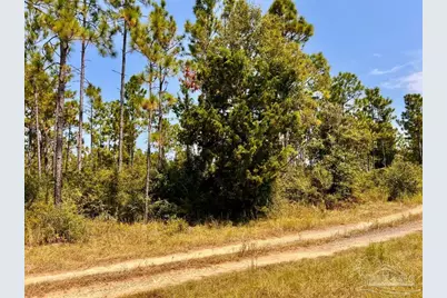 Lot 27 Morgans Branch, Molino, FL 32577 - Photo 16