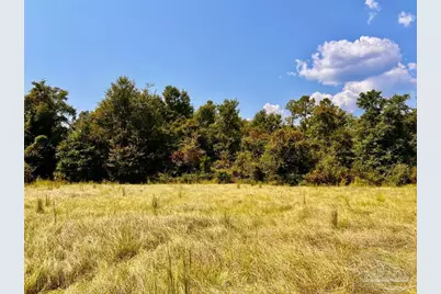 Lot 28 Morgans Branch, Molino, FL 32577 - Photo 8