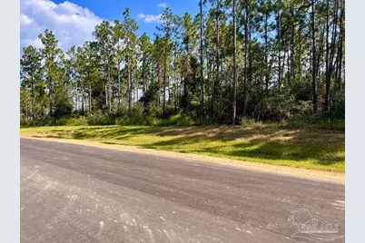 Lot 28 Morgans Branch, Molino, FL 32577 - Photo 2