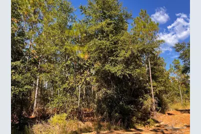 Lot 29 Morgans Branch, Molino, FL 32577 - Photo 10