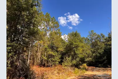 Lot 29 Morgans Branch, Molino, FL 32577 - Photo 8