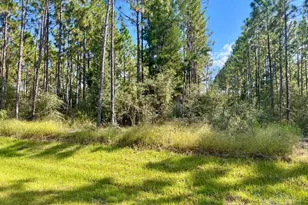 Lot 29 Morgans Branch, Molino, FL 32577 - Photo 1