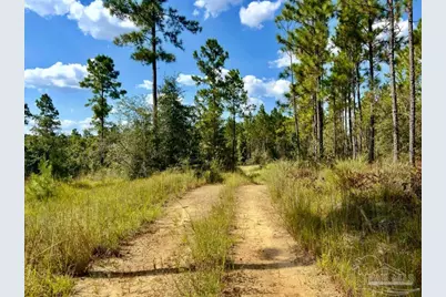 Lot 30 Morgans Branch, Molino, FL 32577 - Photo 8