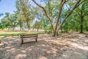 4385 White Birch Ct, Pace, FL 32571 - Photo 64