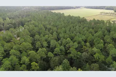 001 Wallace Lake Rd, Pace, FL 32571 - Photo 4