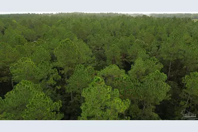 001 Wallace Lake Rd, Pace, FL 32571 - Photo 2