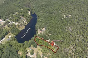 11290 Squirrel Trail, Milton, FL 32583 - Photo 4