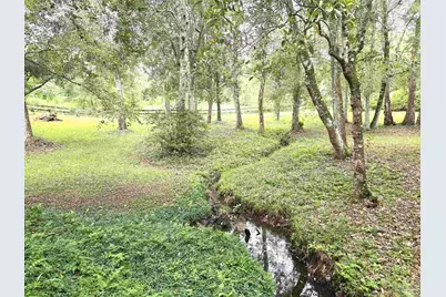 5516 Molino Rd, Molino, FL 32577 - Photo 52