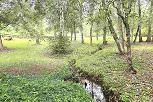 5516 Molino Rd, Molino, FL 32577 - Photo 52