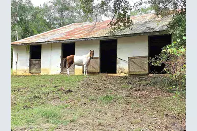 5516 Molino Rd, Molino, FL 32577 - Photo 46