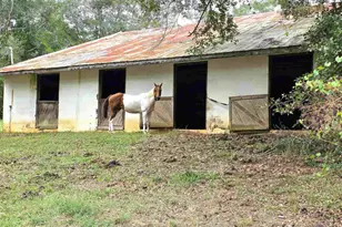 5516 Molino Rd, Molino, FL 32577 - Photo 46