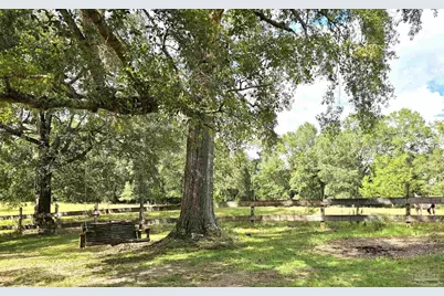 5516 Molino Rd, Molino, FL 32577 - Photo 60