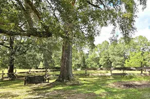 5516 Molino Rd, Molino, FL 32577 - Photo 60