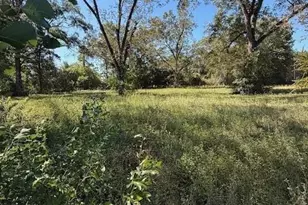 4815 Green Rowell Rd, Jay, FL 32563 - Photo 8
