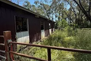 4815 Green Rowell Rd, Jay, FL 32563 - Photo 6