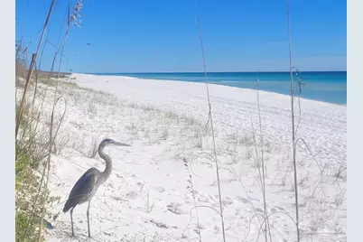 1428 Alabama St, Navarre Beach, FL 32566 - Photo 12