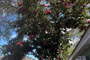 1901 E Yonge St, Pensacola, FL 32503 - Photo 28