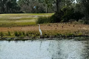14485 Salt Meadow Dr, Pensacola, FL 32507 - Photo 40