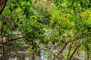 111 Cotton Creek Rd, McDavid, FL 32568 - Photo 24