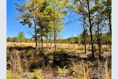 Lot 14-Sw Bashi Rd, Pace, FL 32571 - Photo 20