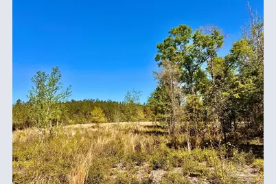 Lot 14-Sw Bashi Rd, Pace, FL 32571 - Photo 24