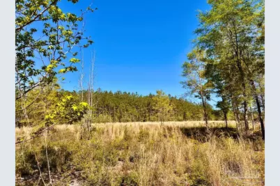 Lot 14-Sw Bashi Rd, Pace, FL 32571 - Photo 22