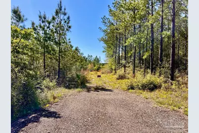 Lot 14-Sw Bashi Rd, Pace, FL 32571 - Photo 12
