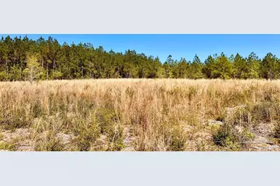 Lot 14-Sw Bashi Rd, Pace, FL 32571 - Photo 2