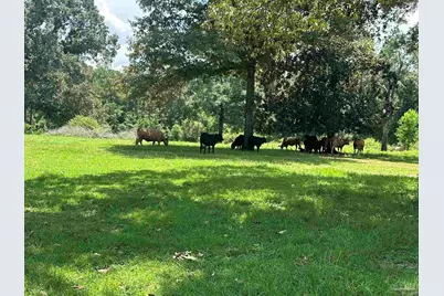 Lot 4 Bullard Rd, Milton, FL 32570 - Photo 8