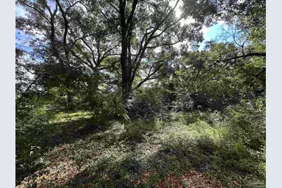 Lot 2 State Hwy 4, Jay, FL 32565 - Photo 26