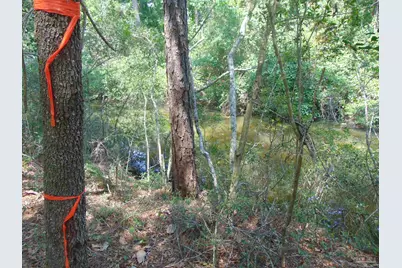 3178 Harrison St, Milton, FL 32583 - Photo 4