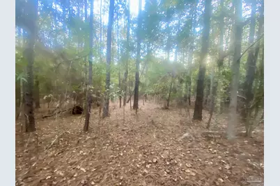 8.55 Acres Hwy 4, Jay, FL 32565 - Photo 4