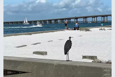 100 Gulf Shore Dr #306, Destin, FL 32541 - Photo 62