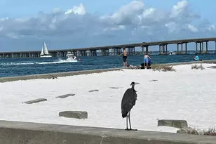 100 Gulf Shore Dr, Destin, FL 32541 - Photo 62