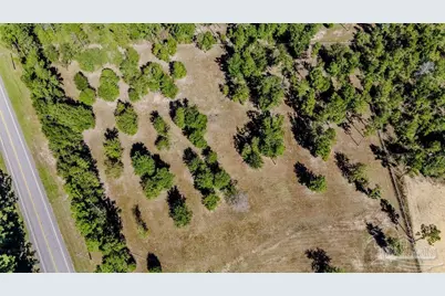 1400 Hwy 97, Molino, FL 32577 - Photo 10