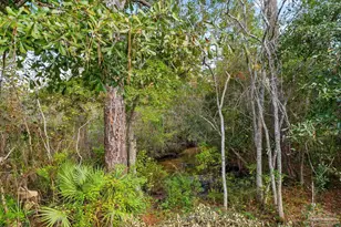 2004 Coral St, Pensacola, FL 32506 - Photo 6