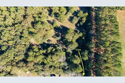 1756 Jacks Branch Rd, Cantonment, FL 32533 - Photo 2