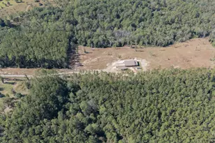 2012 Sid Hayes Rd, Jay, FL 32565 - Photo 4