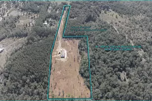 2012 Sid Hayes Rd, Jay, FL 32565 - Photo 6